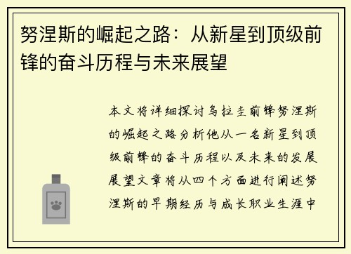 努涅斯的崛起之路：从新星到顶级前锋的奋斗历程与未来展望